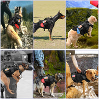 Dog Outdoor Vest Tactical Suit