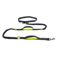 Outdoor Pet Harness Collar Leash