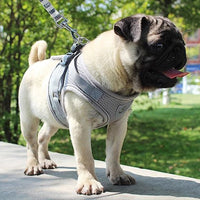 Reflective And Breathable Pet Harness