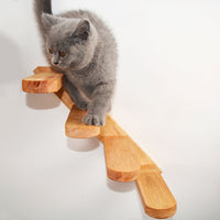 Cats Climbing Ladders Stair Toys