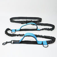 Outdoor Pet Harness Collar Leash