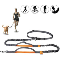 Outdoor Pet Harness Collar Leash